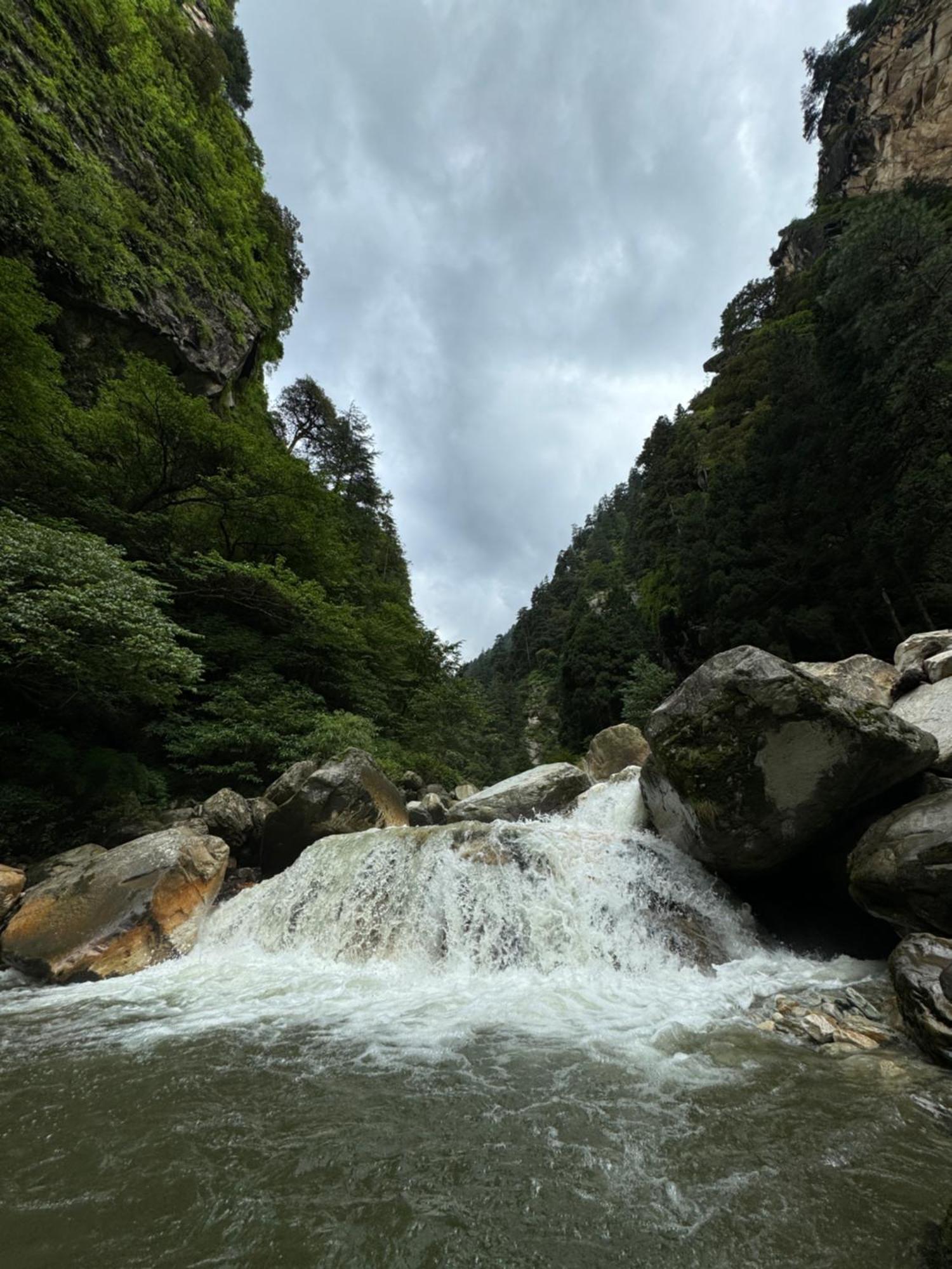 Delight Homestay Kasol Εξωτερικό φωτογραφία